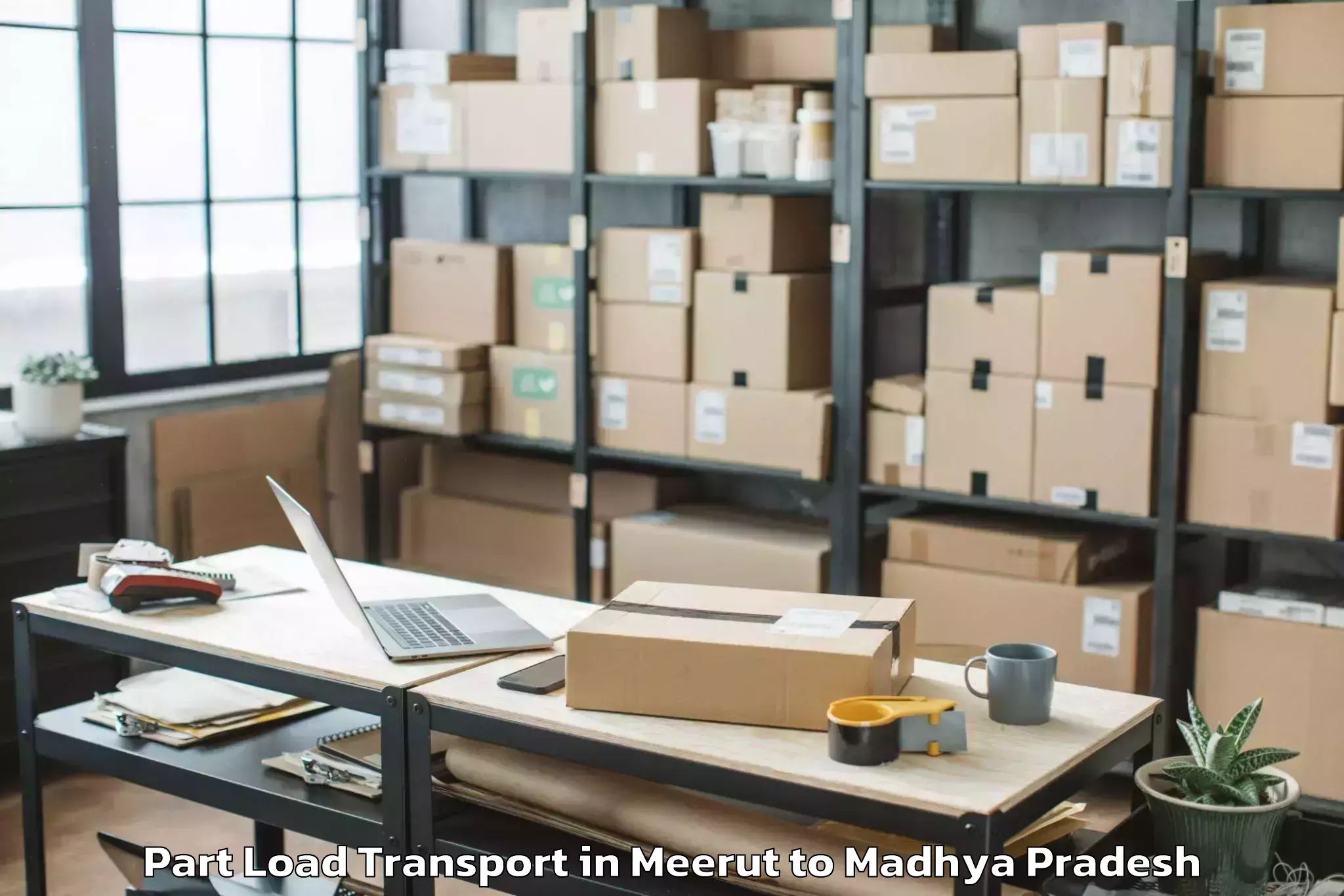 Book Meerut to Maheshwar Part Load Transport